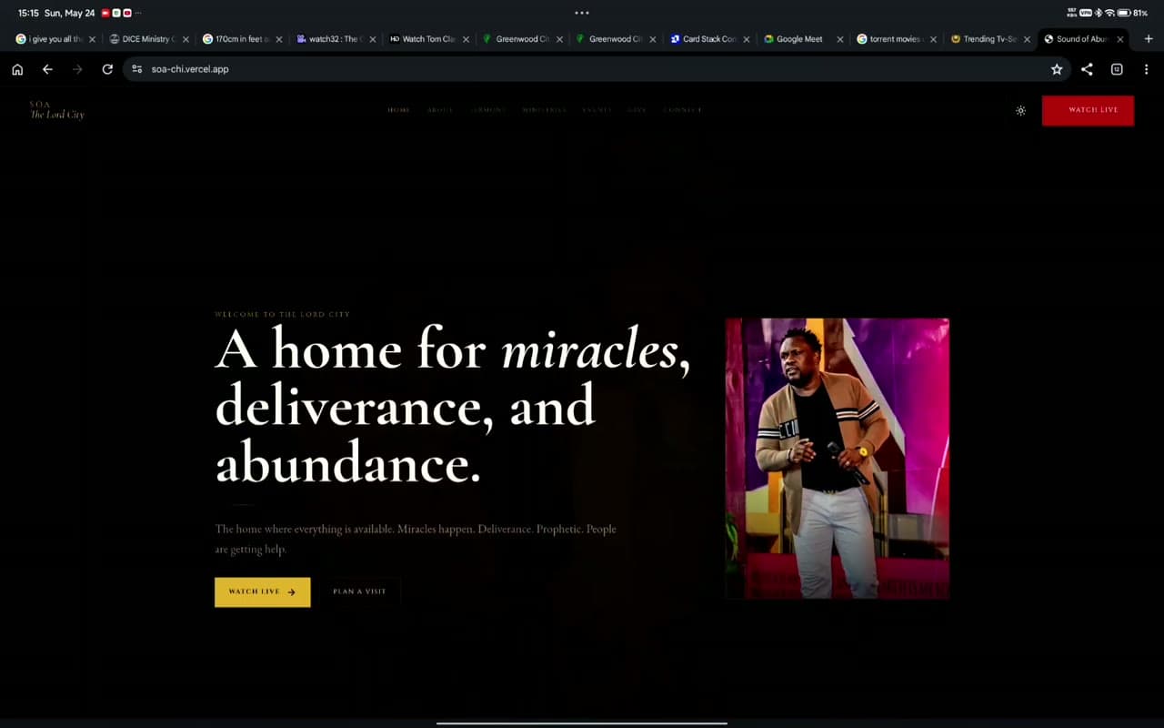 Sound of Abundance project screenshot